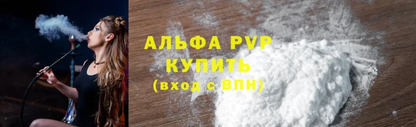 СК Строитель