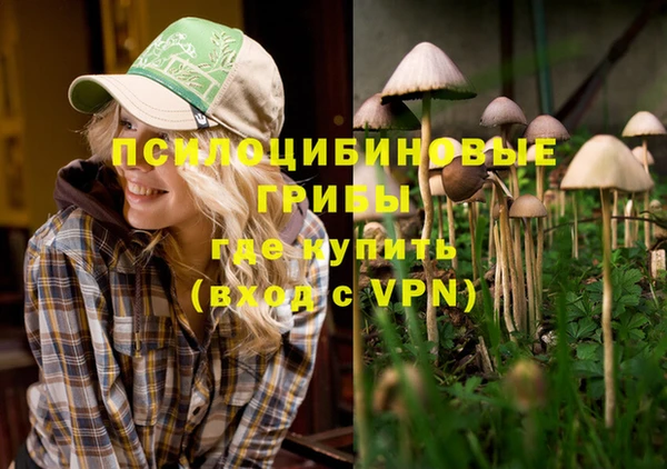 винт Бородино